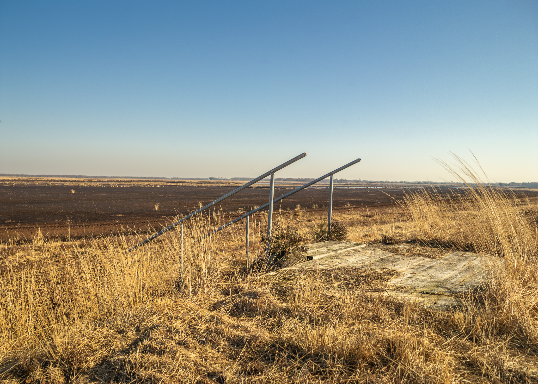 Emslandplan III - Bogland