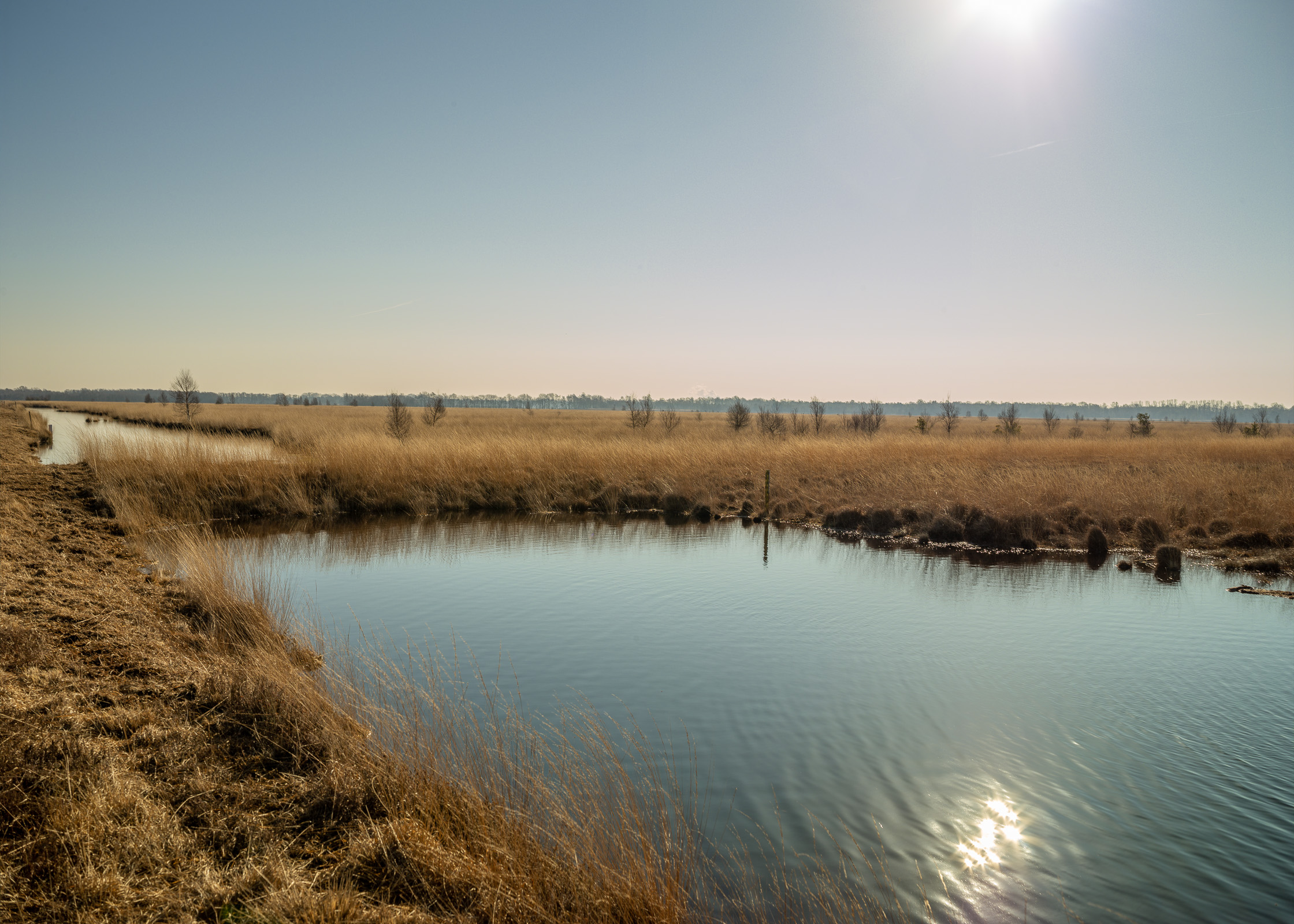 Emslandplan III - Bogland