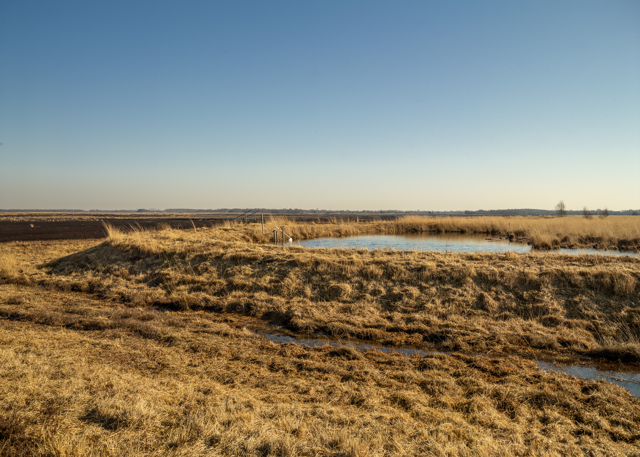 Emslandplan III - Bogland