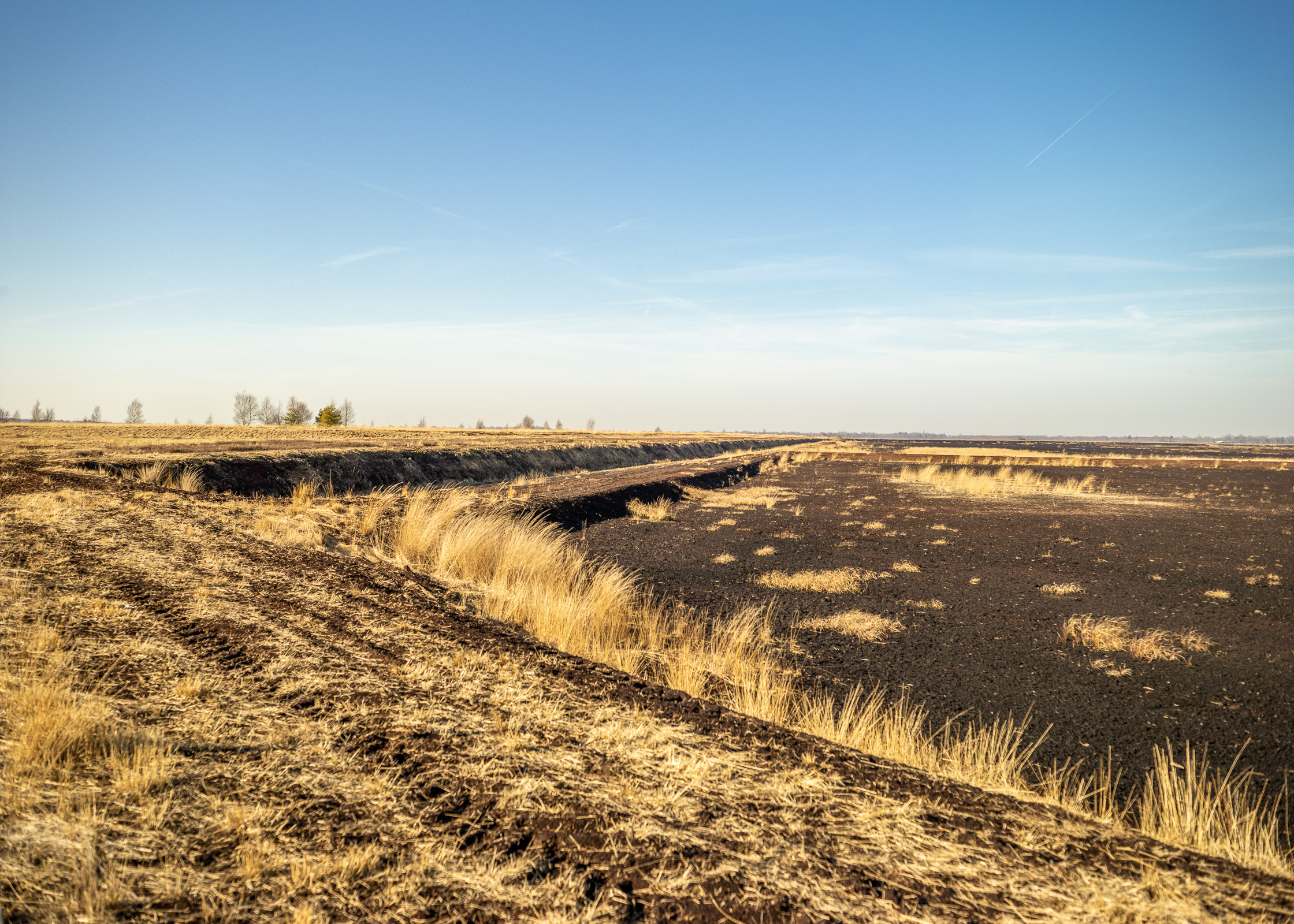 Emslandplan III - Bogland
